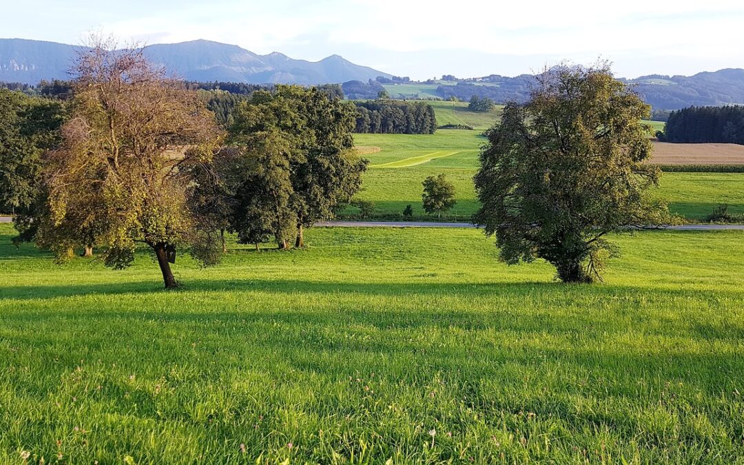 Der Geheimtipp: Bad Feilnbach