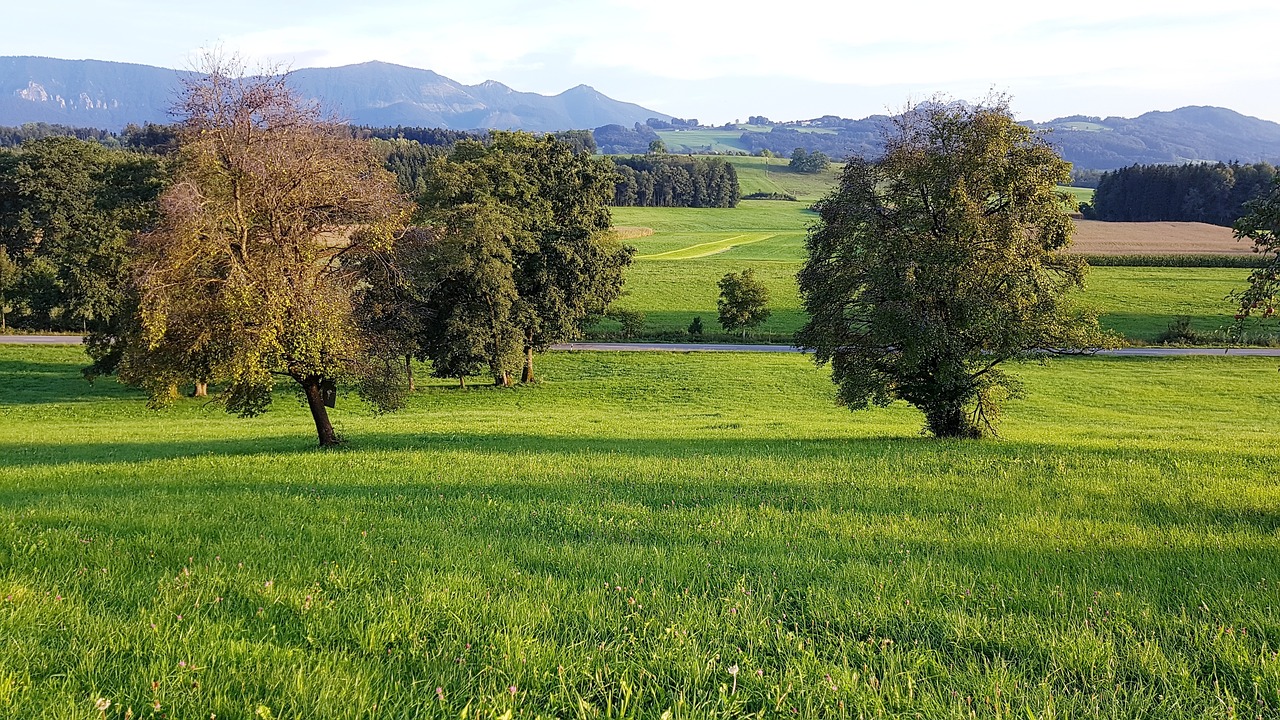 Bad Feilnbach