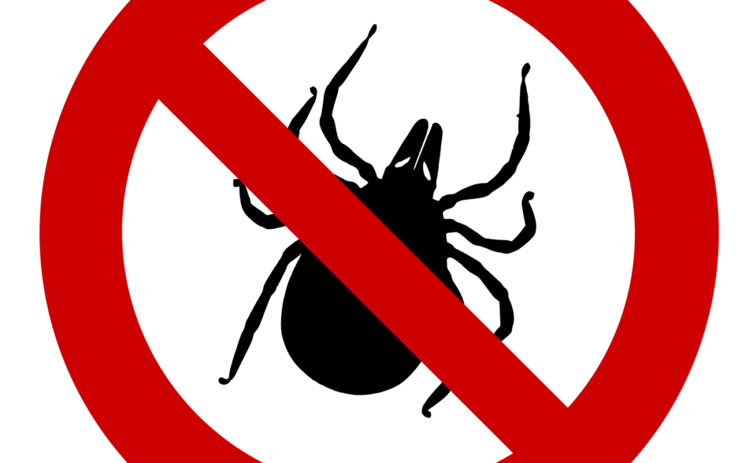 Das Märchen von der grünen Zecke