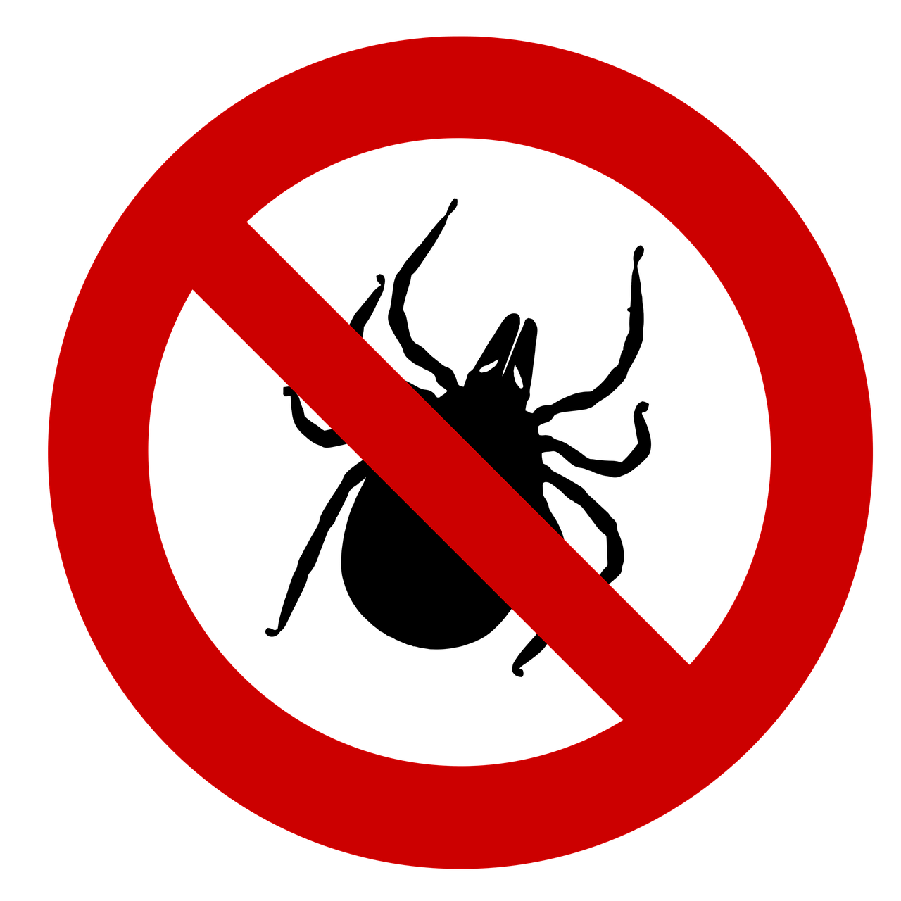 Das Märchen von der grünen Zecke