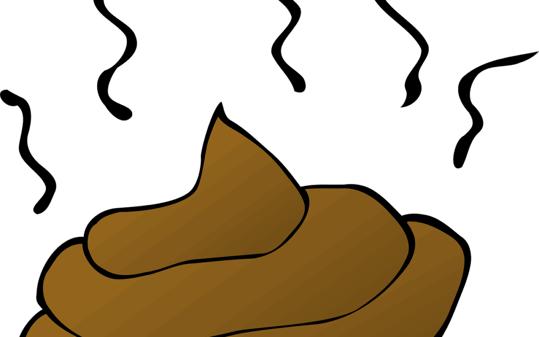 Dünnschiss